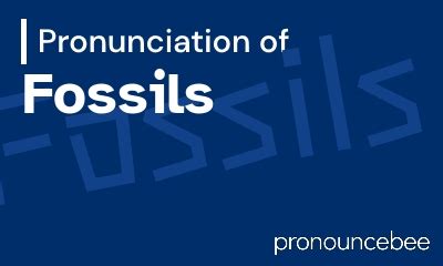 fossil pronunciation english.